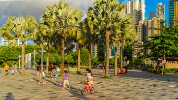 Palm trees screen off the high-rise buildings behind and add depth and dimension to the plaza space. These Chinese Fan Palms (<em>Livistona chinensis</em>) also provide a feature to the space.